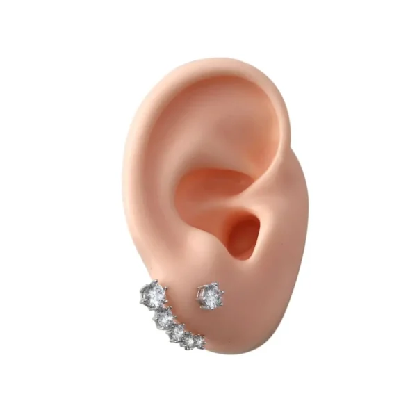 Silicone Ear Model Human Artificial Ear Display for Hearing Aids IEM Earphones Display and Lecturing - Image 2