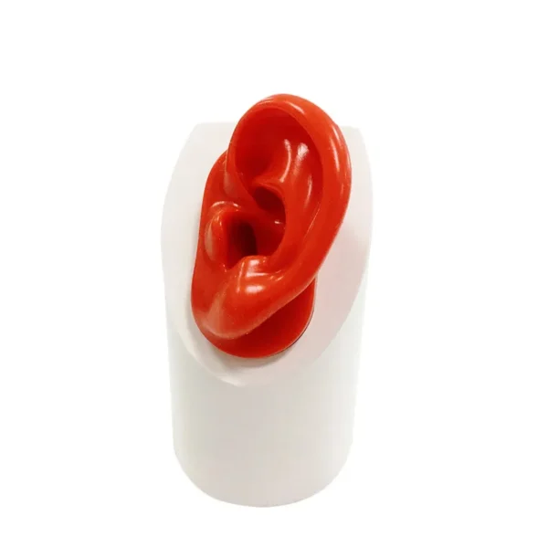 Hearing Aid Display Stand with Silicone Ear for Hearing Aids IEMs Jewelry Exhibition