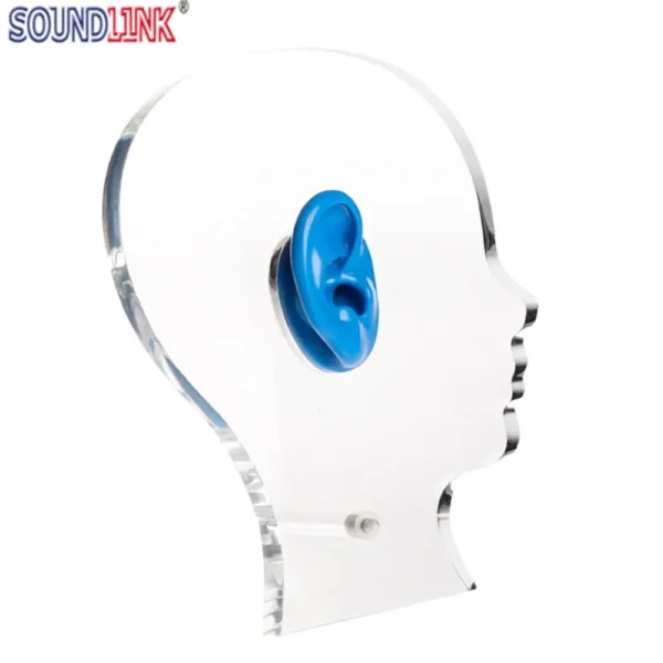 Soundlink Head Shape Acrylic Display with Silicone Ear Model for Displaying Hearing Aids Jewelry Display