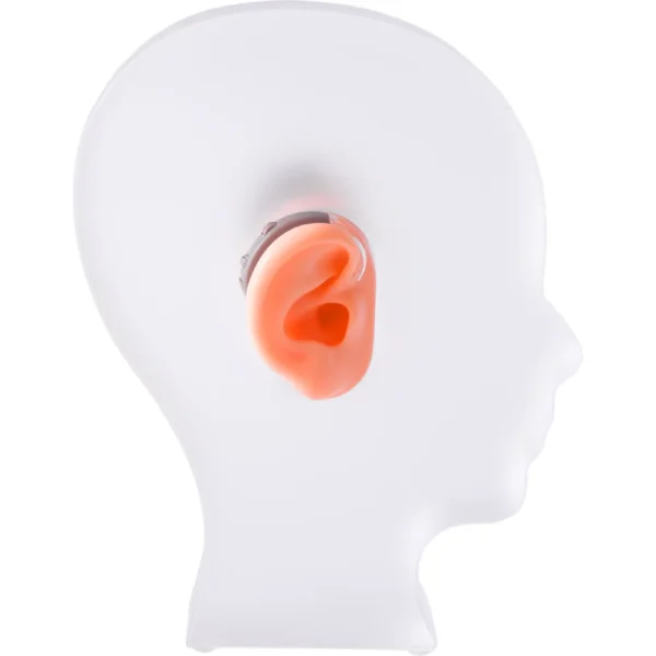 Frosted Head style Acrylic Hearing Aid Display with Silicone Ear Models - Image 3