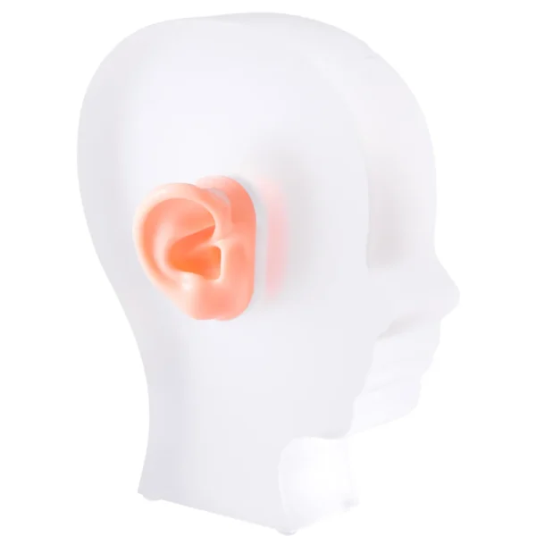 Frosted Head style Acrylic Hearing Aid Display with Silicone Ear Models - Image 2