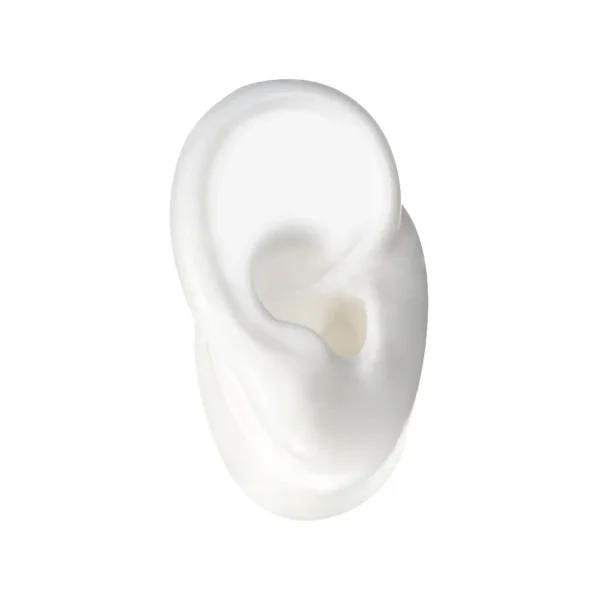 Soundlink Head Shape Acrylic Display with Silicone Ear Model for Displaying Hearing Aids Jewelry Display - Image 5