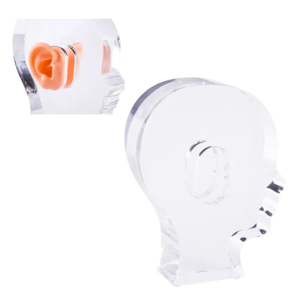 High Transparency Thicken Head Shape Acrylic Display Clear Display for Hearing Aids with Two Silicone Ears - Image 3