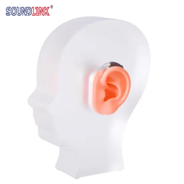 Frosted Head style Acrylic Hearing Aid Display with Silicone Ear Models
