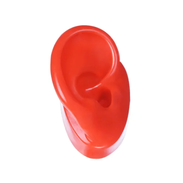 Soundlink Head Shape Acrylic Display with Silicone Ear Model for Displaying Hearing Aids Jewelry Display - Image 6