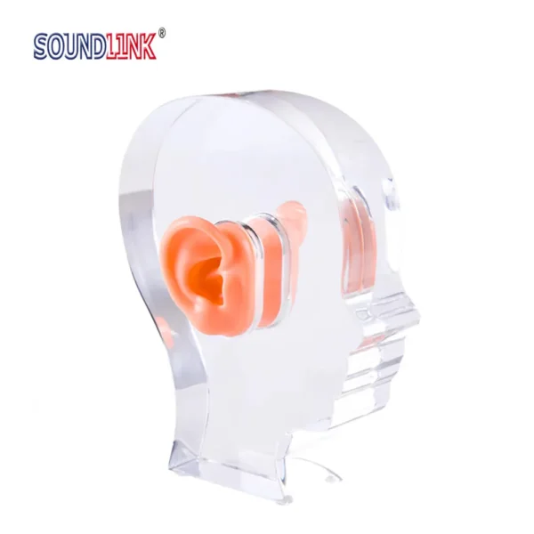 High Transparency Thicken Head Shape Acrylic Display Clear Display for Hearing Aids with Two Silicone Ears